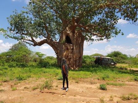 The Sniper Tree（一战遗址 / 纪念地）-非行家旅行-Africa Wild Wander