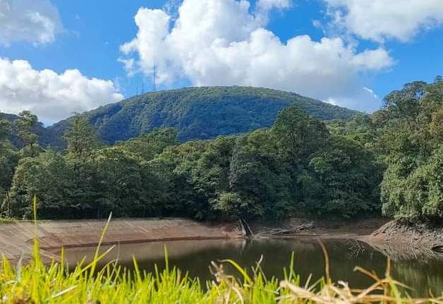 Nyambene Reserve（县域目的地）-非行家旅行-Africa Wild Wander