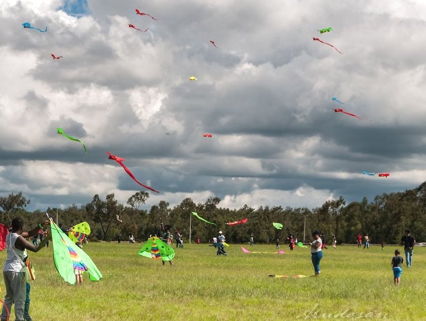 Kite Festival（活动体验 / 文创）-非行家旅行-Africa Wild Wander