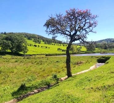 Chesumot Estate（县域目的地）-非行家旅行-Africa Wild Wander