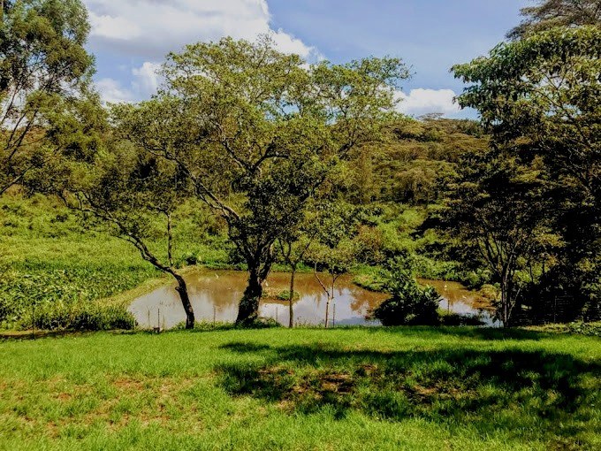 Nyamira County（尼亚米拉县）-非行家旅行-Africa Wild Wander