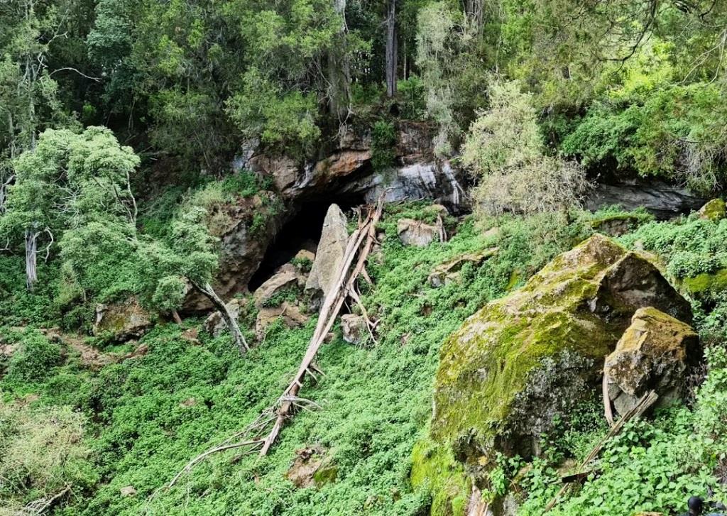 Kitum Cave（基图姆洞穴）-非行家旅行-Africa Wild Wander
