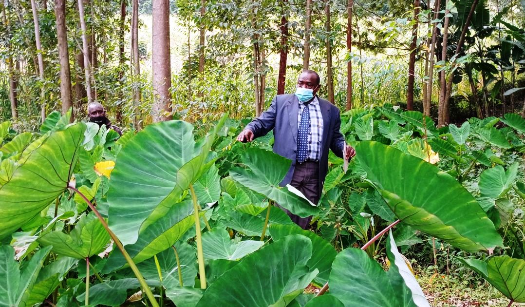 Lake Okari（水系 / 湖泊 / 海岸）-非行家旅行-Africa Wild Wander