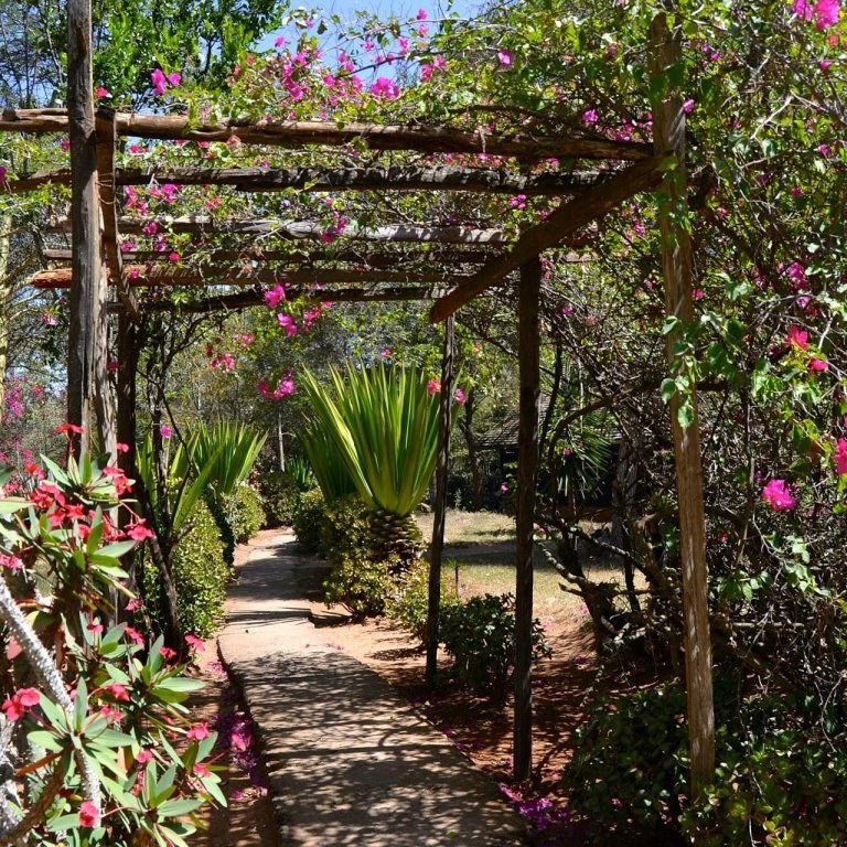 Maralal Safari Lodge（Maralal / Samburu 文化）-非行家旅行-Africa Wild Wander