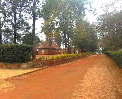 Macmillan Castle（麦克米伦城堡）-非行家旅行-Africa Wild Wander