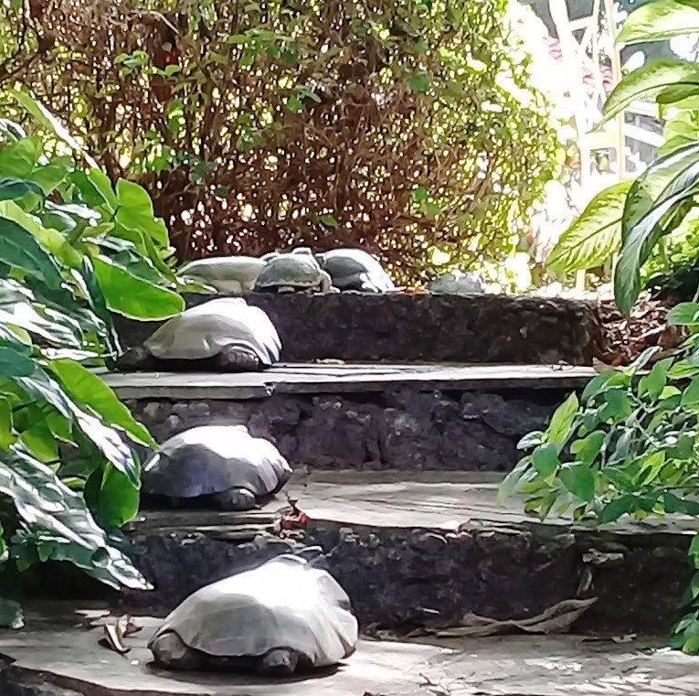 Ndoro Sculpture Garden（文化 / 社群）-非行家旅行-Africa Wild Wander