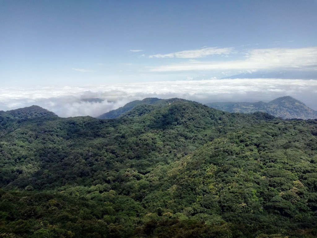 Nyambene Range（自然景观 / 徒步）-非行家旅行-Africa Wild Wander