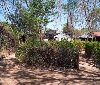 Kajuki Eco Lodge（卡朱基生态旅馆）-非行家旅行-Africa Wild Wander