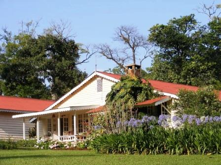 Kakamega County（卡卡梅加县）-非行家旅行-Africa Wild Wander