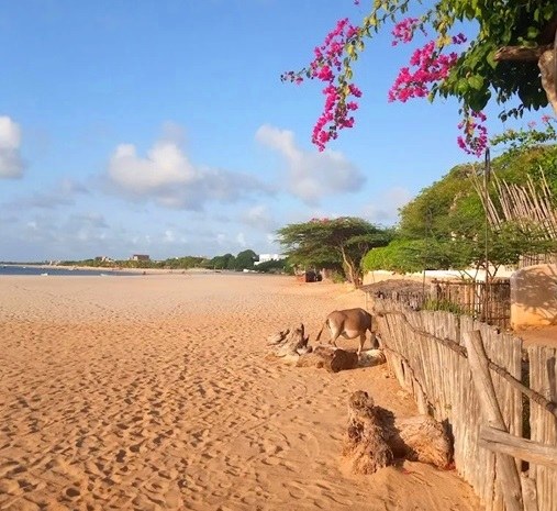 Diamond Beach Village（海岛 / 海滩 / 船行体验）-非行家旅行-Africa Wild Wander