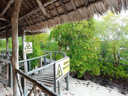 Gazi Women Mangrove Boardwalk（加齐女性红树林栈道）-非行家旅行-Africa Wild Wander
