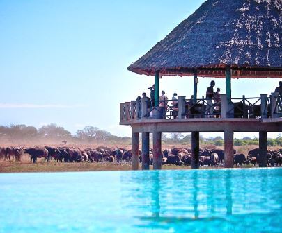 Voi Wildlife Lodge（Tsavo East / 野生动物）-非行家旅行-Africa Wild Wander