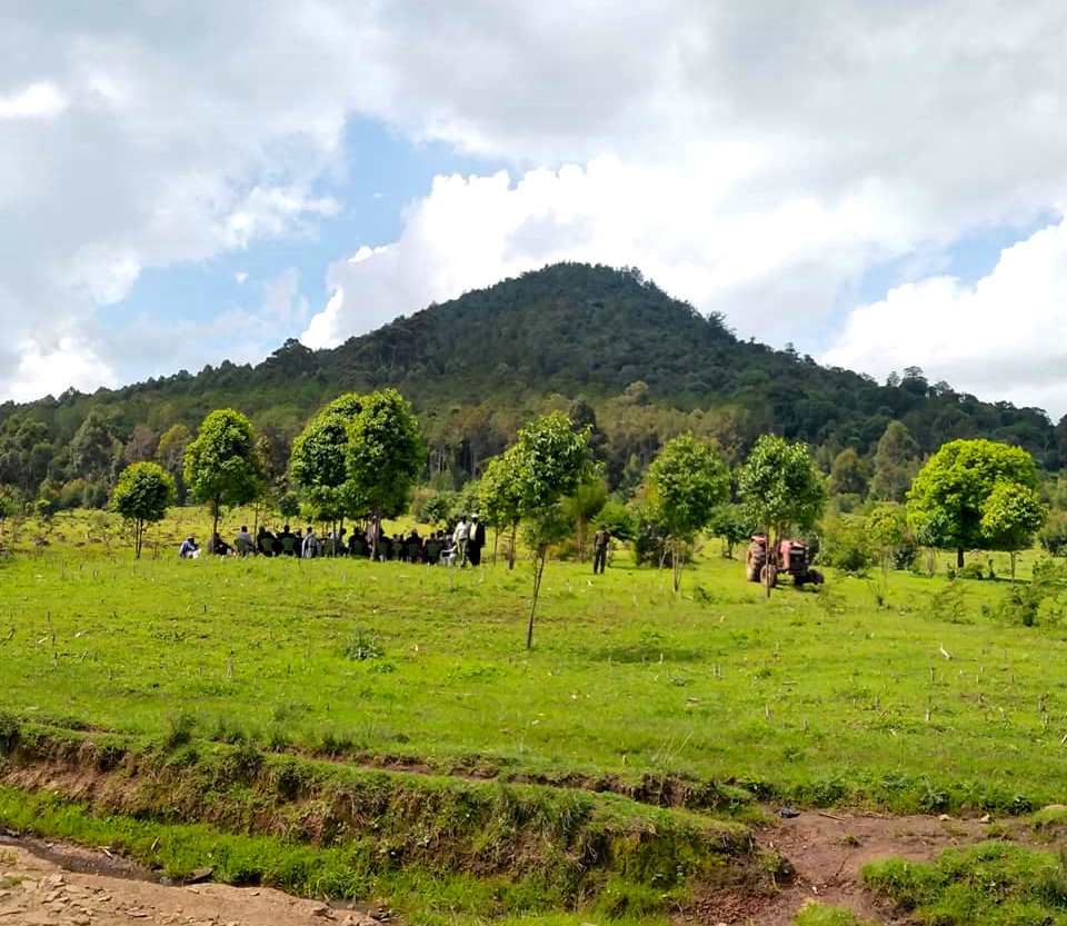 Tulwap Kipsigis Hill（山地 / 洞穴）-非行家旅行-Africa Wild Wander