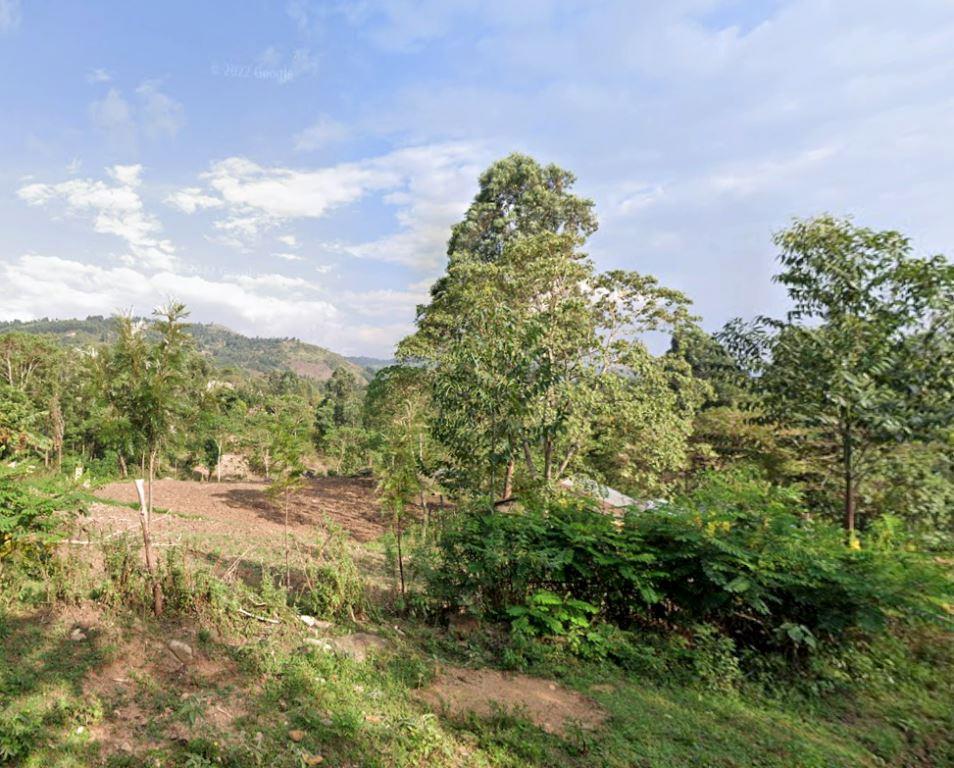 North Nandi Forest(北南迪森林)-非行家旅行-Africa Wild Wander