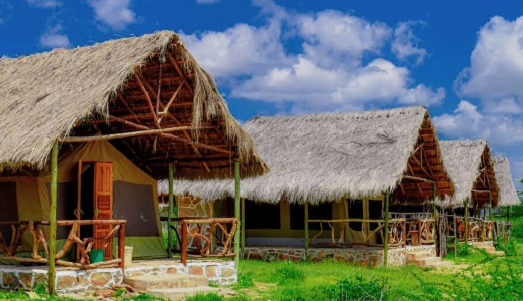 Nashipa Eco Camp(住宿 / Safari 营地)-非行家旅行-Africa Wild Wander