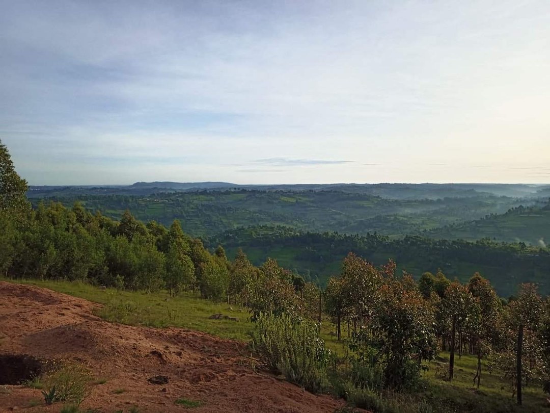 Motigo Hill（自然景观 / 徒步）-非行家旅行-Africa Wild Wander