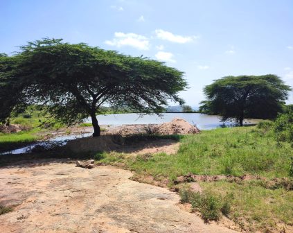 Lukenya Hills（卢肯亚山）-非行家旅行-Africa Wild Wander
