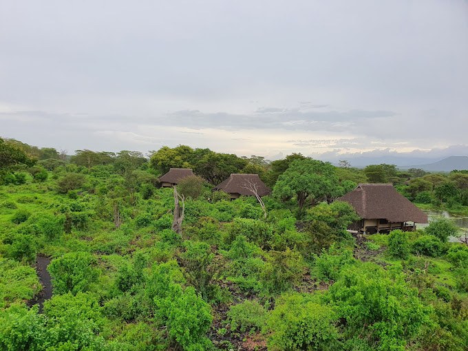Finch Hattons Camp（Tsavo West / 火山与泉水）-非行家旅行-Africa Wild Wander