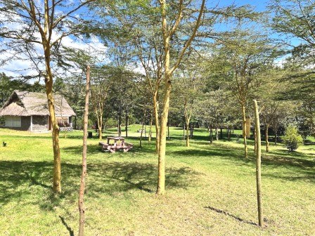 Malewa Bundu Camp(住宿休闲 / 艺术度假)-非行家旅行-Africa Wild Wander