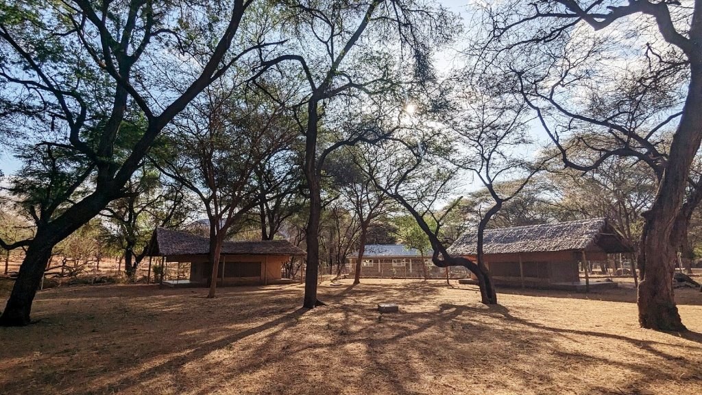 Camp Ndotto（住宿 / Safari 营地）-非行家旅行-Africa Wild Wander