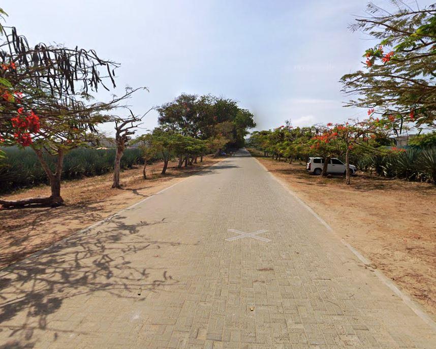 Vipingo Ridge（历史遗产 / 博物馆）-非行家旅行-Africa Wild Wander