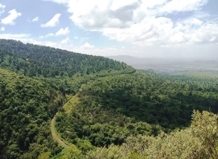 Kijabe Hills（高原 / 裂谷观景）-非行家旅行-Africa Wild Wander
