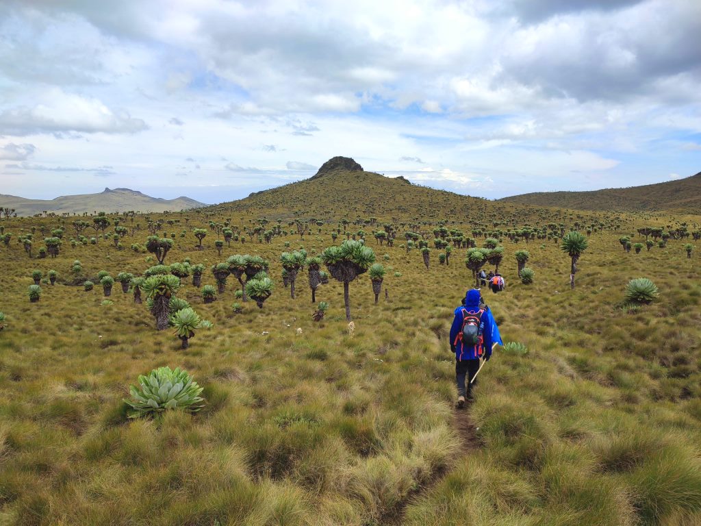 Rurimeria Hill Trail（鲁里梅里亚山徒步）-非行家旅行-Africa Wild Wander