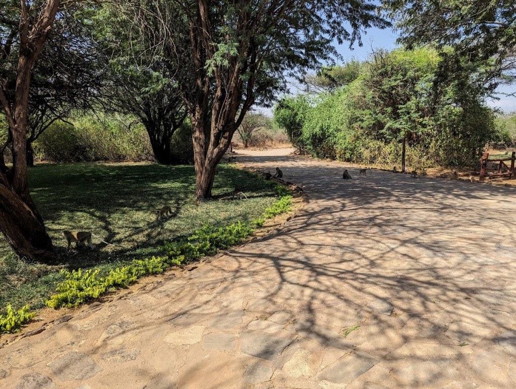 Samburu Intrepid Camp（Samburu-Buffalo-Shaba 保护区）-非行家旅行-Africa Wild Wander