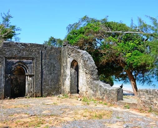 Mnarani Ruins（历史遗产 / 博物馆）-非行家旅行-Africa Wild Wander