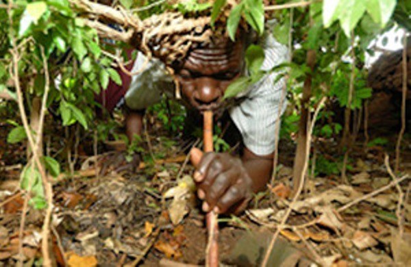 Nganyi Forest(恩甘伊森林)-非行家旅行-Africa Wild Wander
