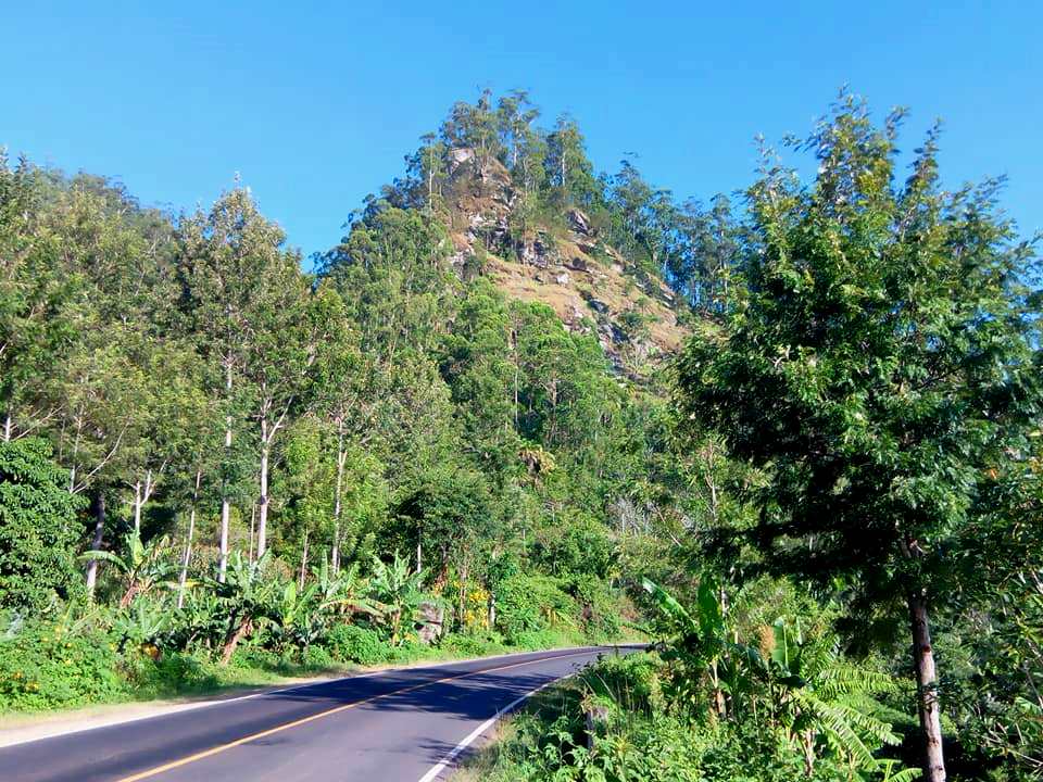 Taita Hills（泰塔山）-非行家旅行-Africa Wild Wander