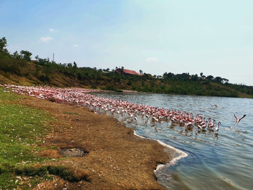 Lake Simbi Nyaima（水系 / 湖泊 / 海岸）-非行家旅行-Africa Wild Wander