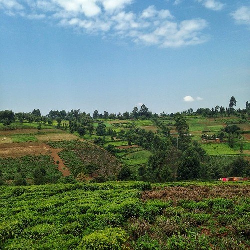 Bomet County（博美特县）-非行家旅行-Africa Wild Wander