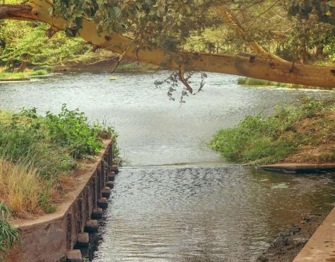 Kivungoni Springs（Kibwezi / Umani / Safari）-非行家旅行-Africa Wild Wander