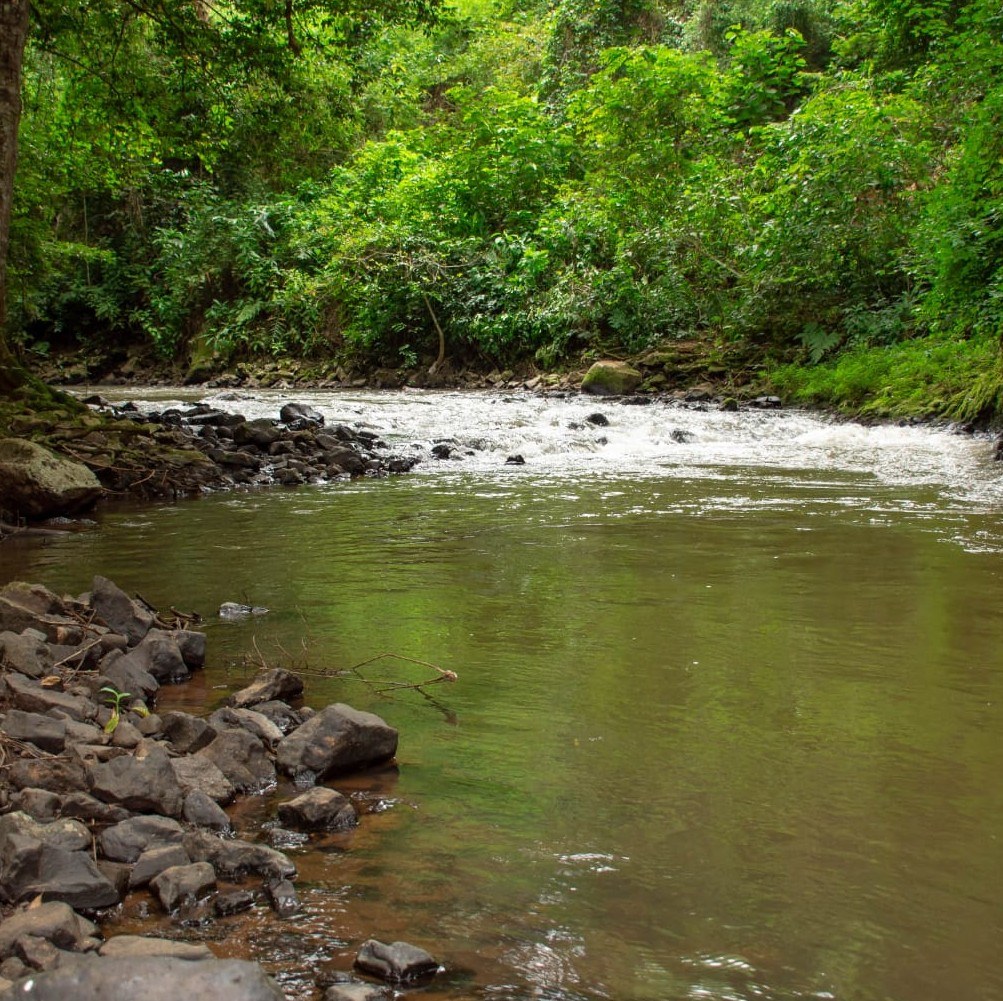 Njukiri Forest（自然景观 / 徒步）-非行家旅行-Africa Wild Wander