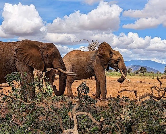 Kitui County(基图伊县)-非行家旅行-Africa Wild Wander