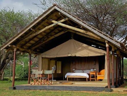 Ashnil Aruba Lodge（Tsavo East / 野生动物）-非行家旅行-Africa Wild Wander