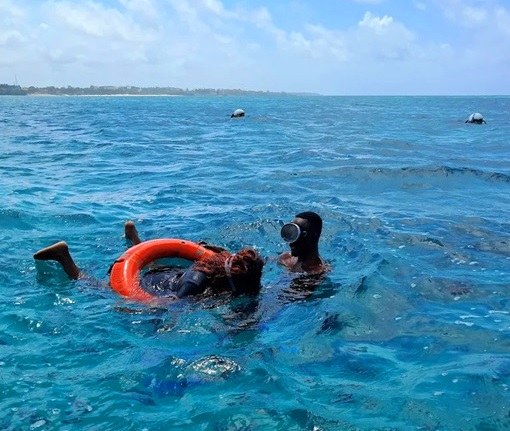 Mombasa Marine Park（蒙巴萨海洋公园）-非行家旅行-Africa Wild Wander