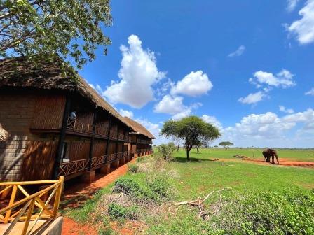 Ngutuni Wildlife Lodge（保护地 / 私营保护区）-非行家旅行-Africa Wild Wander