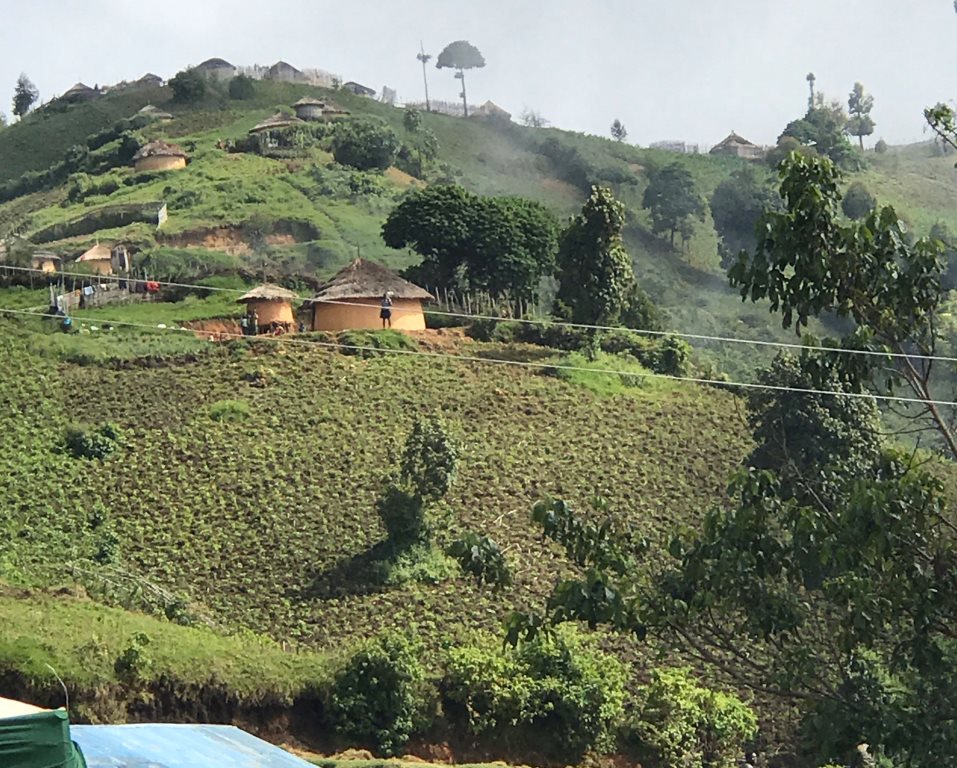 Embobut Forest(自然景观 / 徒步)-非行家旅行-Africa Wild Wander