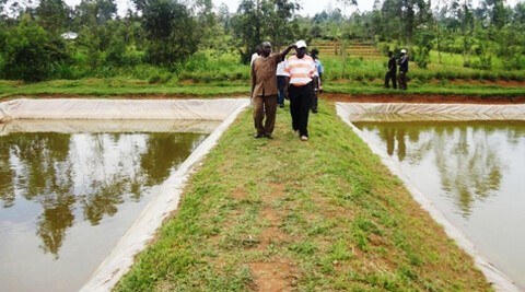 Mwitoko Fish Farm（姆维托科鱼场）-非行家旅行-Africa Wild Wander