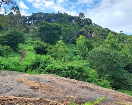 Thui Stone（山地 / 岩石 / 观景）-非行家旅行-Africa Wild Wander