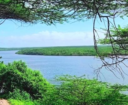 Kiunga Marine National Reserve（基翁加海洋国家保护区）-非行家旅行-Africa Wild Wander