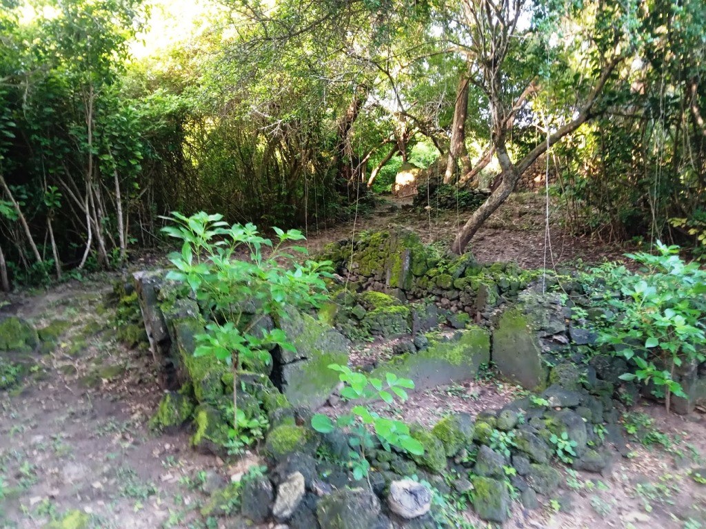 Kirepwe Ruins（水系 / 湖泊 / 海岸）-非行家旅行-Africa Wild Wander