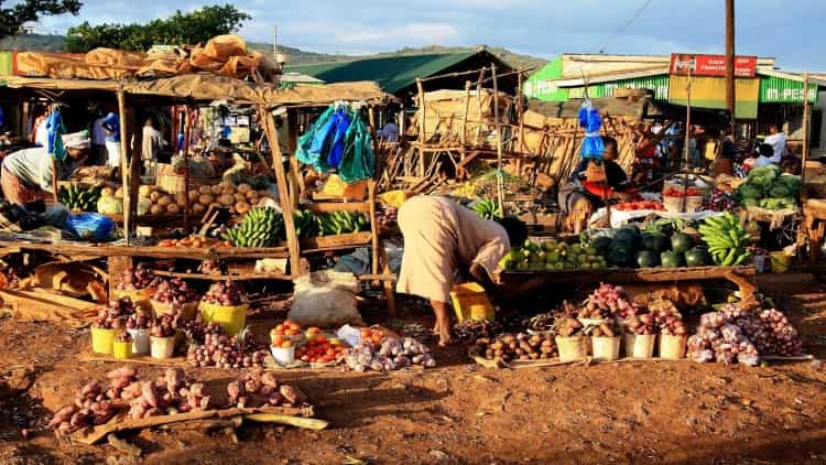 Chwele Market（自然景观 / 徒步）-非行家旅行-Africa Wild Wander