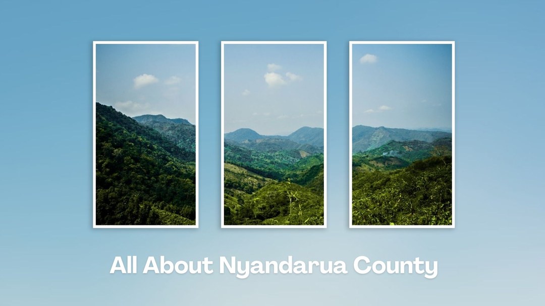 Nyandarua County（年达鲁阿县）-非行家旅行-Africa Wild Wander