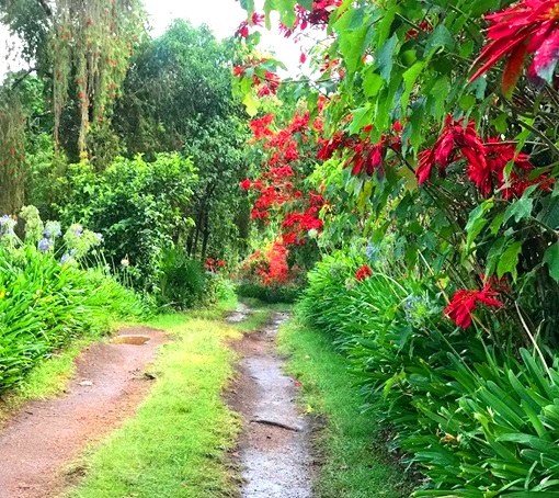 Kapsimotwa Gardens(住宿 / 休闲设施)-非行家旅行-Africa Wild Wander