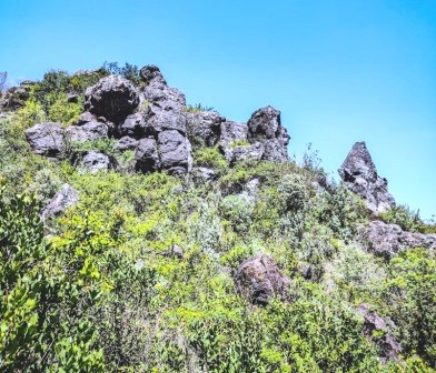 Table Mountain（Aberdare 高山 / 徒步）-非行家旅行-Africa Wild Wander