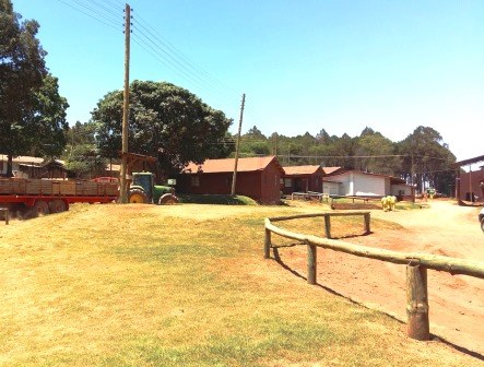 Kisima Farm（农场 / 高地农业）-非行家旅行-Africa Wild Wander