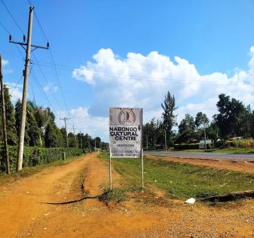 Nabongo Cultural Centre（纳邦戈文化中心）-非行家旅行-Africa Wild Wander